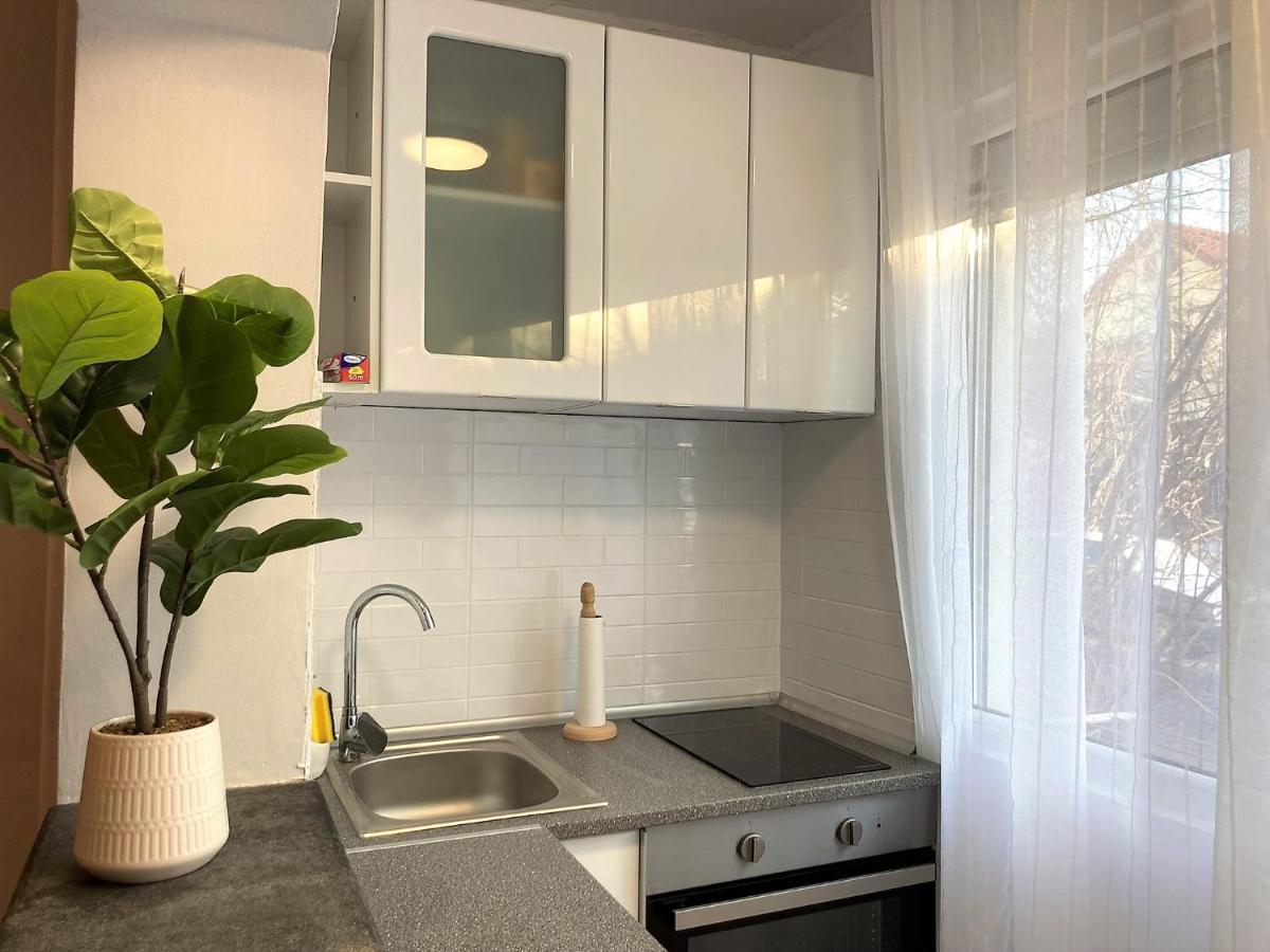 Lovely Apartment In A Quiet Area Клуж-Напока Экстерьер фото